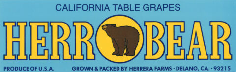 Herr Bear